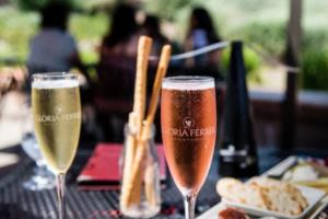 汉堡球队在主场比赛中顽强抗争，不幸遭遇失利