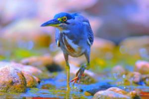 多德雷贝斯球队表现稳健，主场取胜