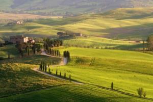 不莱梅主场扩大胜差，击败对手迎来好转