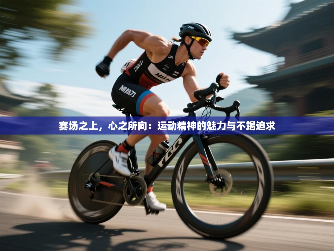 赛场之上,心之所向:运动精神的魅力与不竭追求 第2张